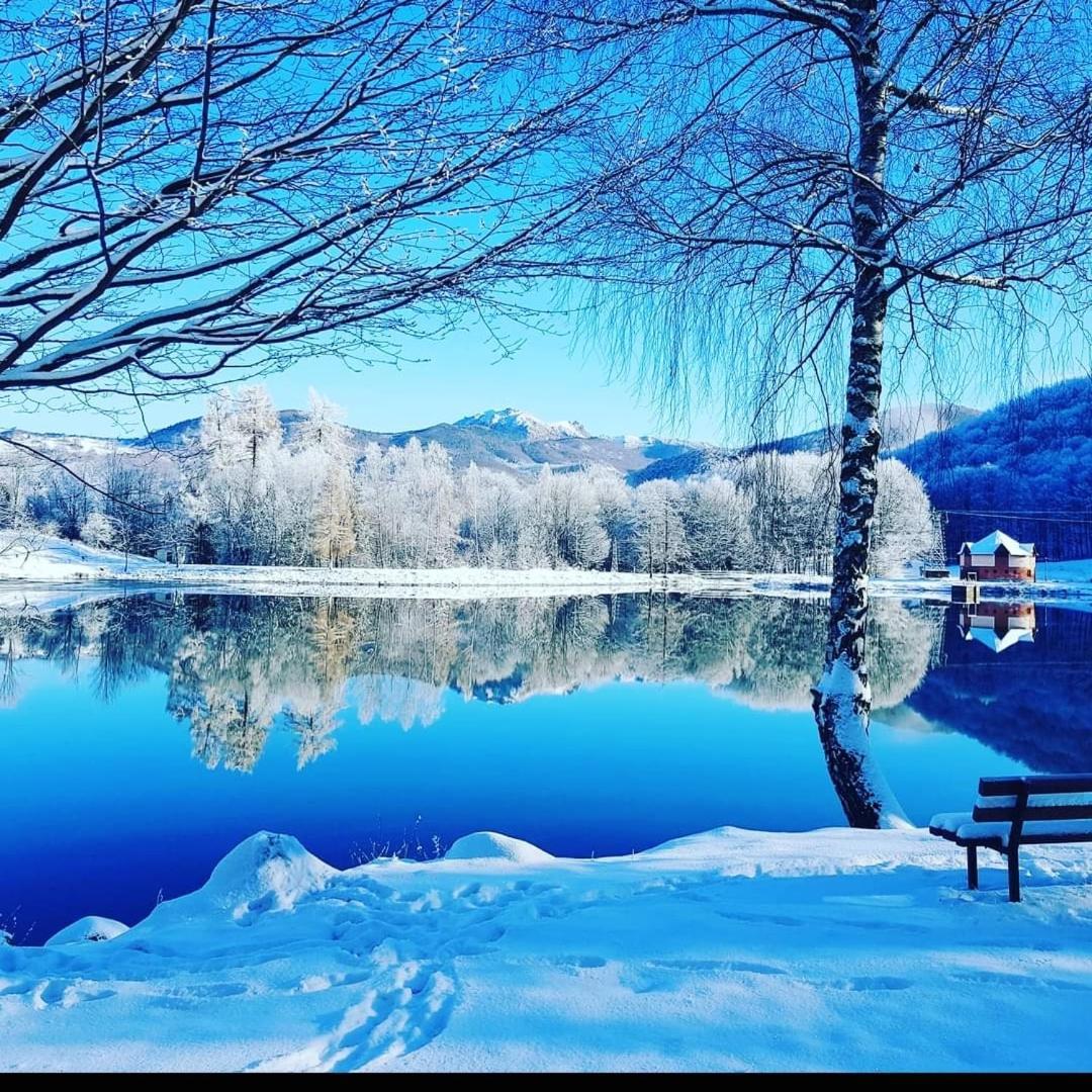Cabana Berner Baia Sprie Bagian luar foto