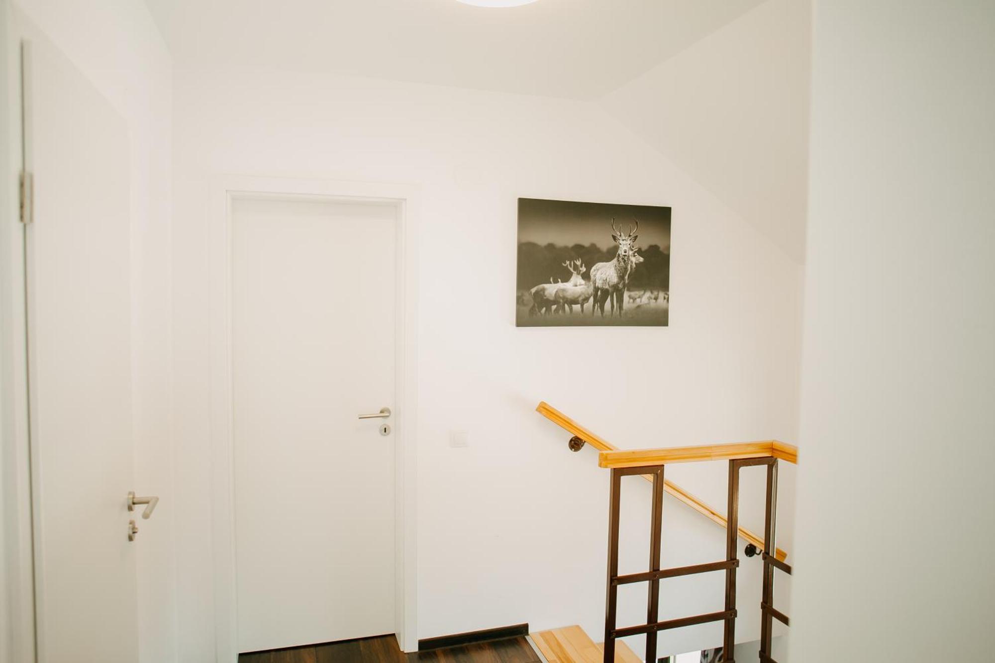 Cabana Berner Baia Sprie Bagian luar foto